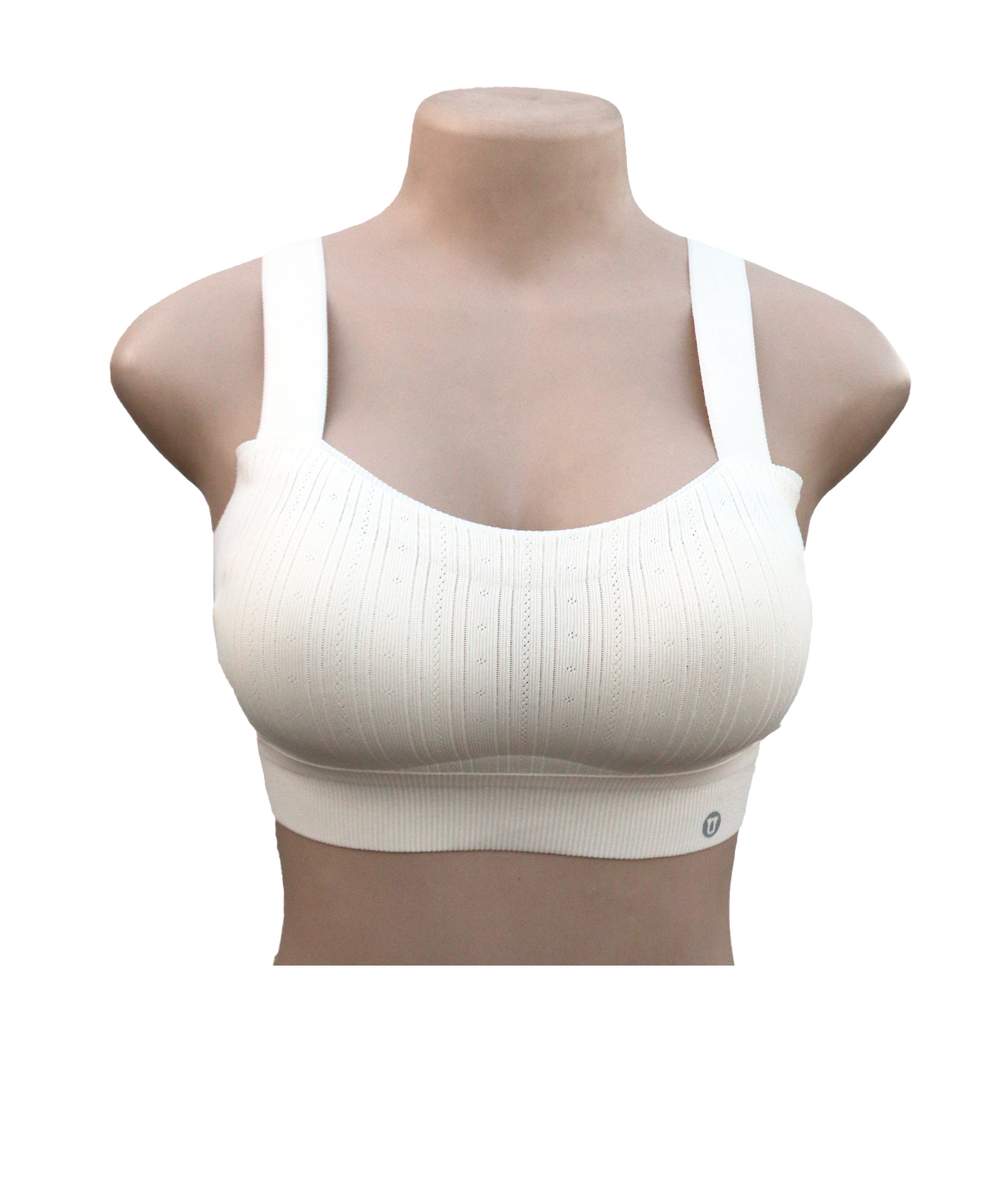 bra foam  stretchable padded no wires free size