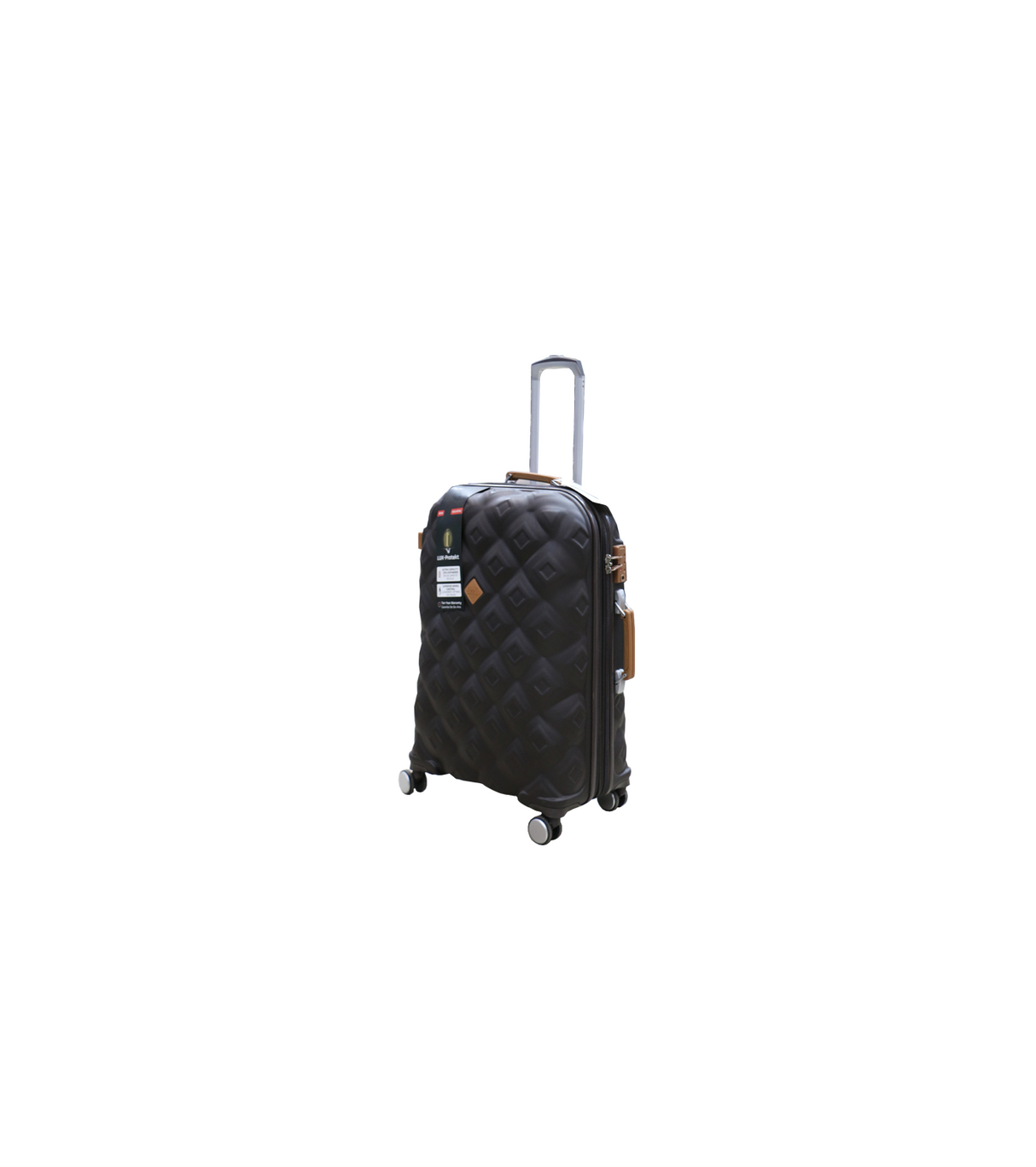 it luggage trolley travel bag 2 handle 20" china 2884