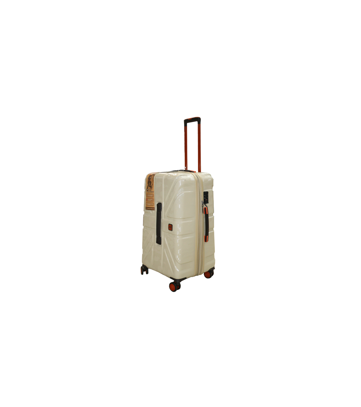 it luggage trolley travel bag 3 handle 19.5'' china 2916