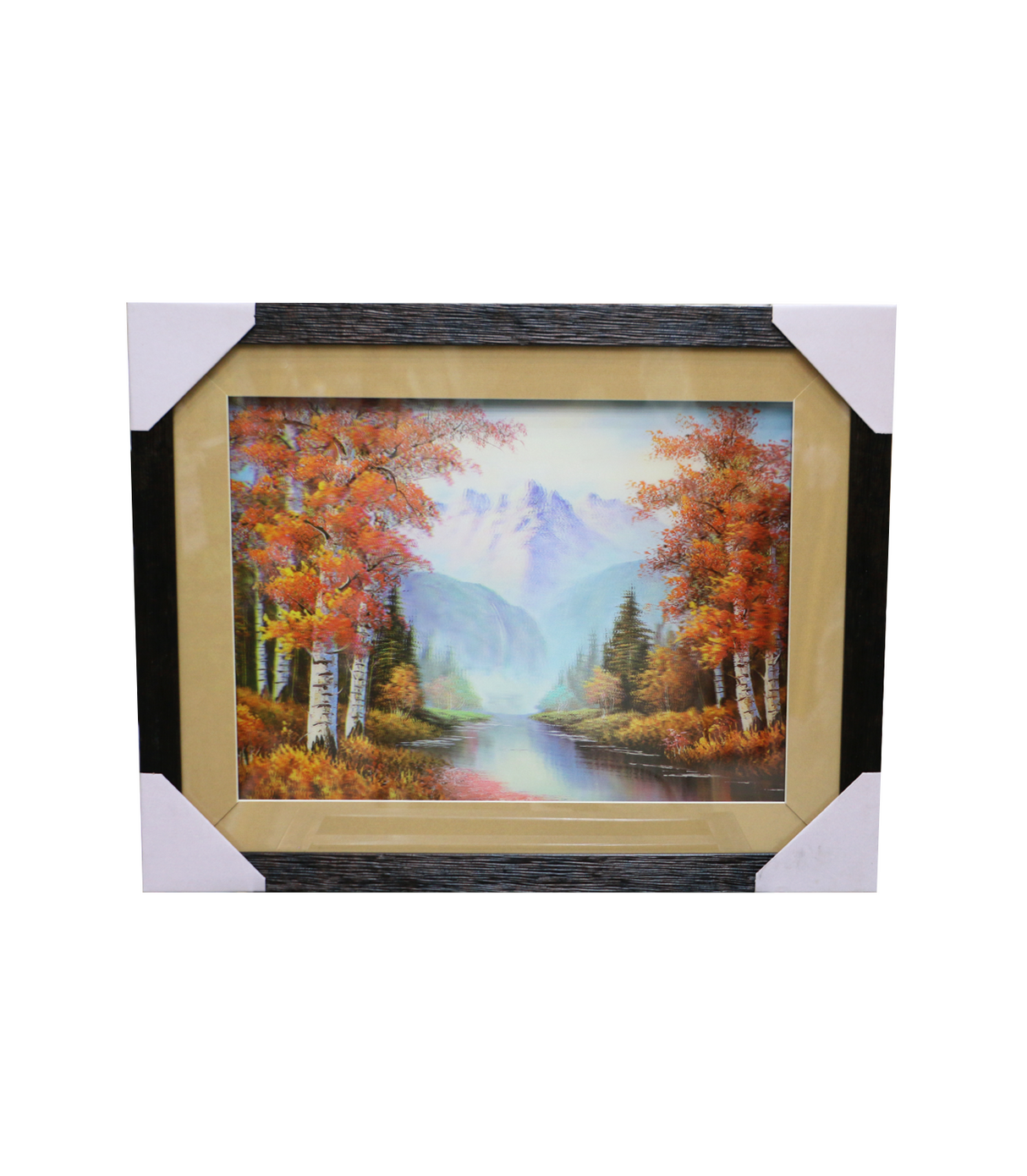 scenery frame 14x18 5d