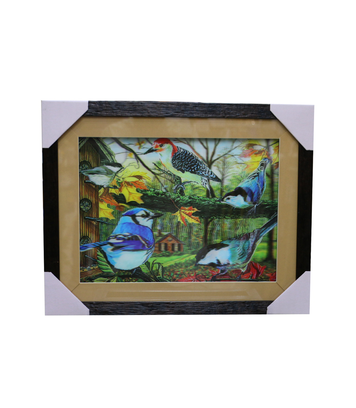 scenery frame 14x18 5d