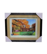 scenery frame 14x18 5d