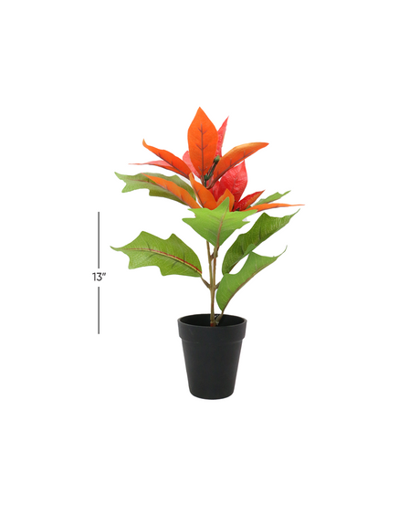 red & green leaf with plastic pot 4"hx 13"w- d782