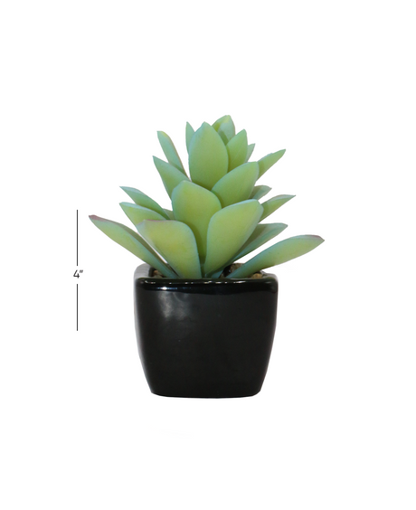 cactus & ceramic pot 1.5"hx 4"w china d040