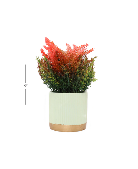 orange bush grass with ceramic pot 3.5"hx 9"wchina d751