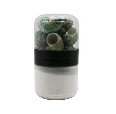 aquarium decor shell & sand jar china 1004