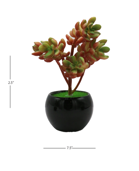 desert bush plant & ceramic pot 2.5"hx 7.5"w china d857