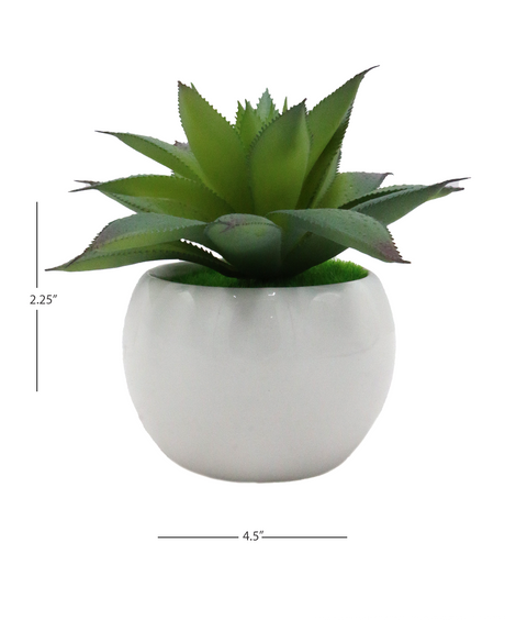 desert green plant & ceramic pot 2.25"hx 4.5"w china d865