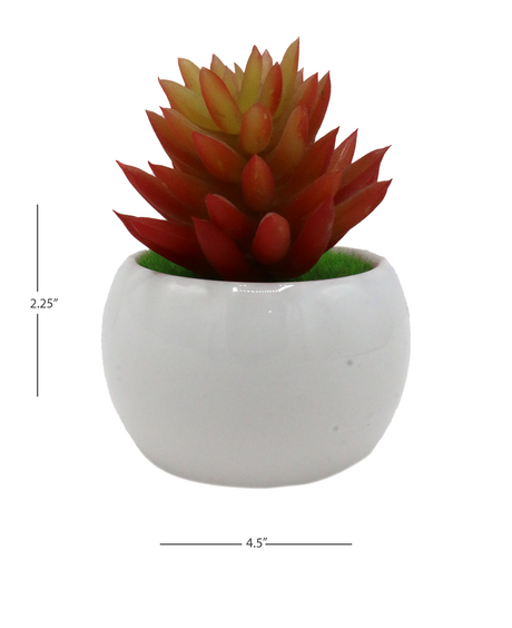 desert mix plant & ceramic pot 2.25"hx 4.5"w china d866