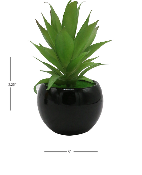 desert mix plant & ceramic pot 2.25"hx 6"w china d867