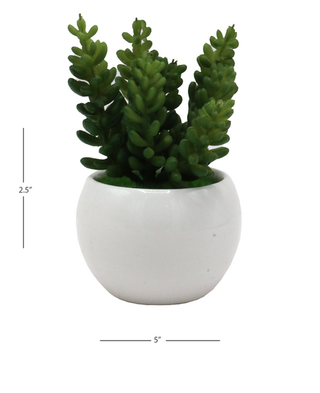 desert bush plant & ceramic pot 2.5"hx 5"w china d868