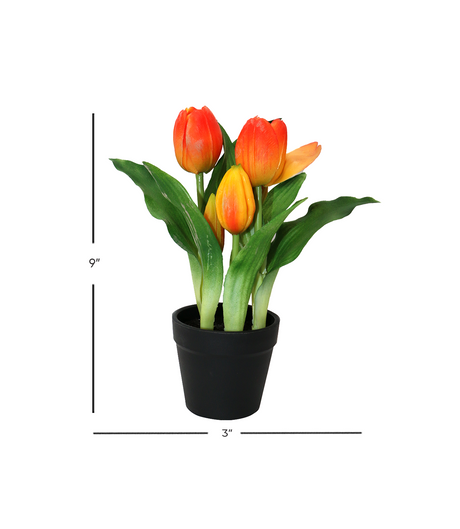 orange flower with plastic pot9"x3"