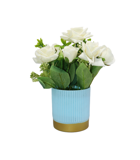 white flower with plastic pot china