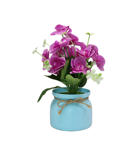 purple flower with plastic pot china 061