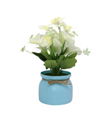 white flower with plastic pot china 061