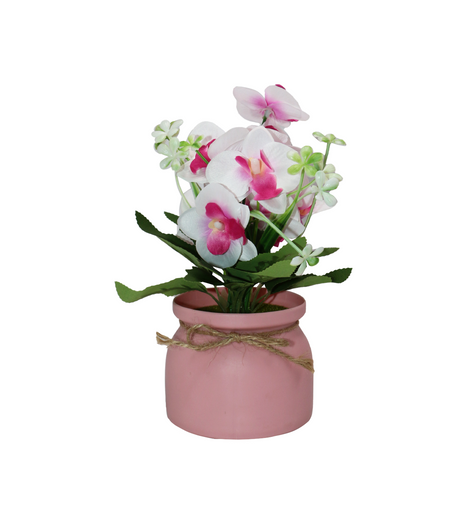 2tone pink flower with plastic pot china 061