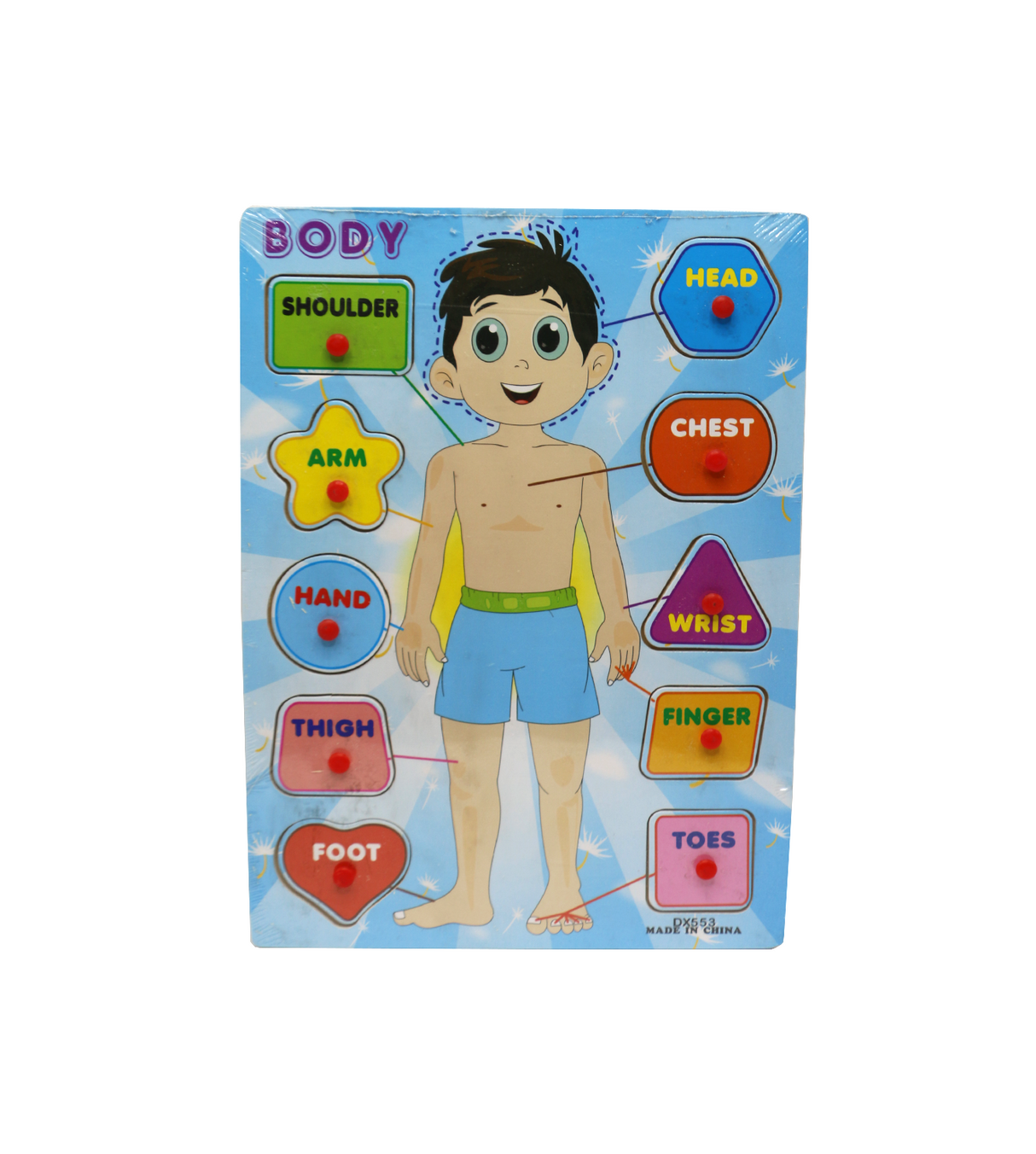 wooden puzzle parts of body dx553