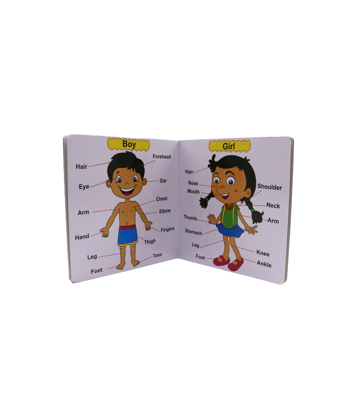 jack n jill reading book body parts & vehicles