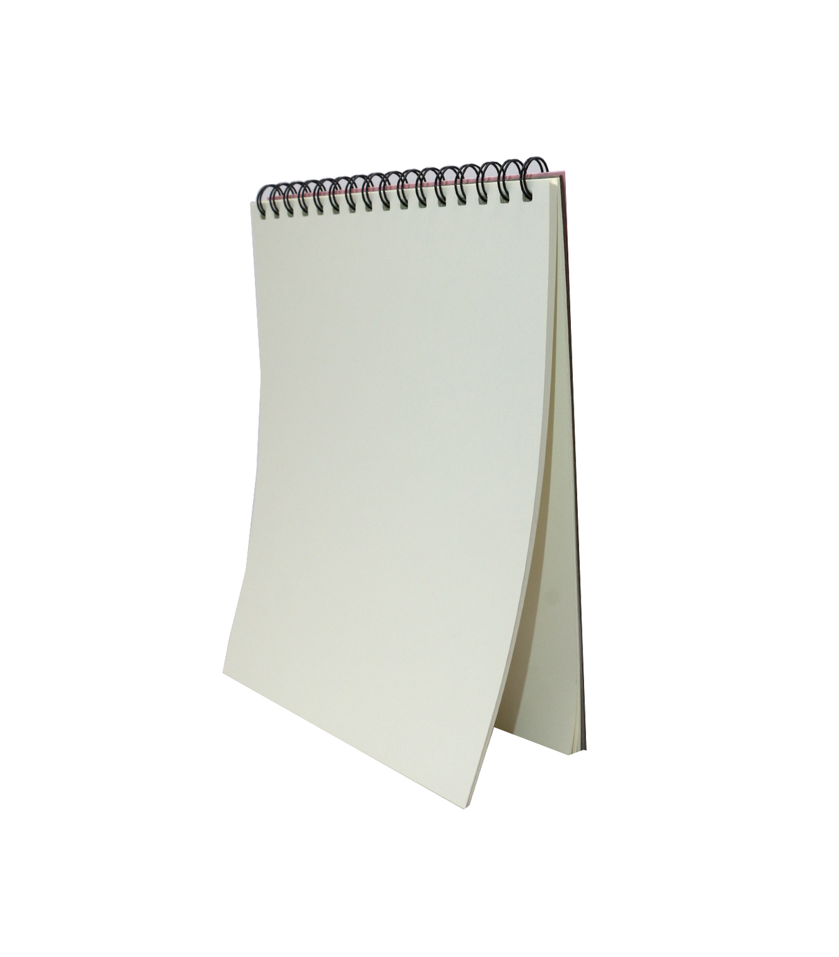 ring note pad capybara china ats-51607